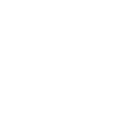 Bluffton Aesthetics Badge Logo White